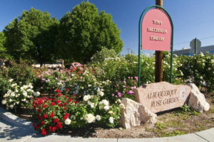 Rose Garden Albuquerque Rose Society