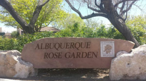 Rose Garden Albuquerque Rose Society